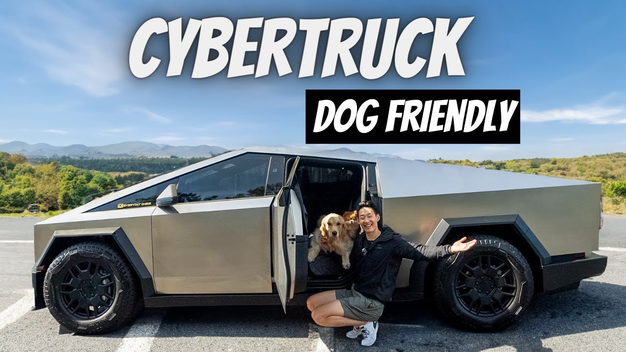 Making Your Tesla Cybertruck Dog-proof!