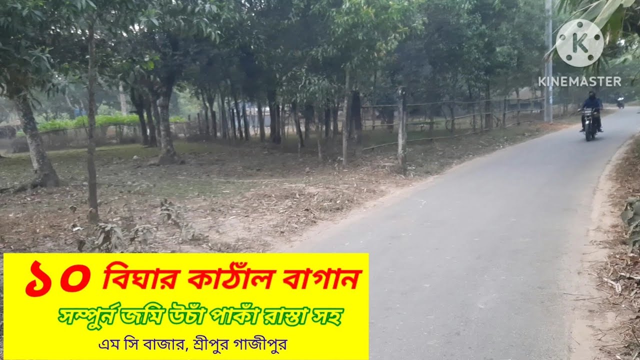 ১০ বিঘা জমি বিক্রি।।জৈনা গাজীপুর শ্রীপুর।। #asset seller# Land sale Sreepur Gazipur