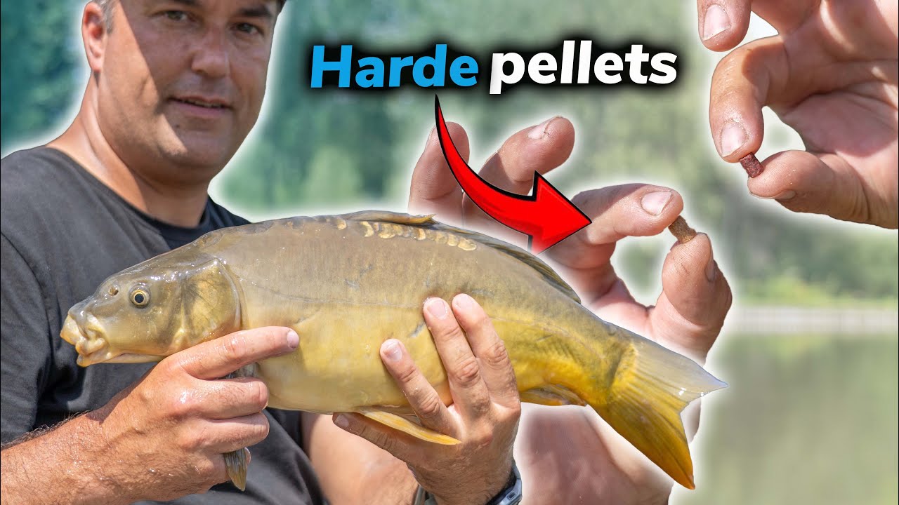 Pelletvissen net na de Paai 🎣   Davy op KVL in Niel! 🐟🔥