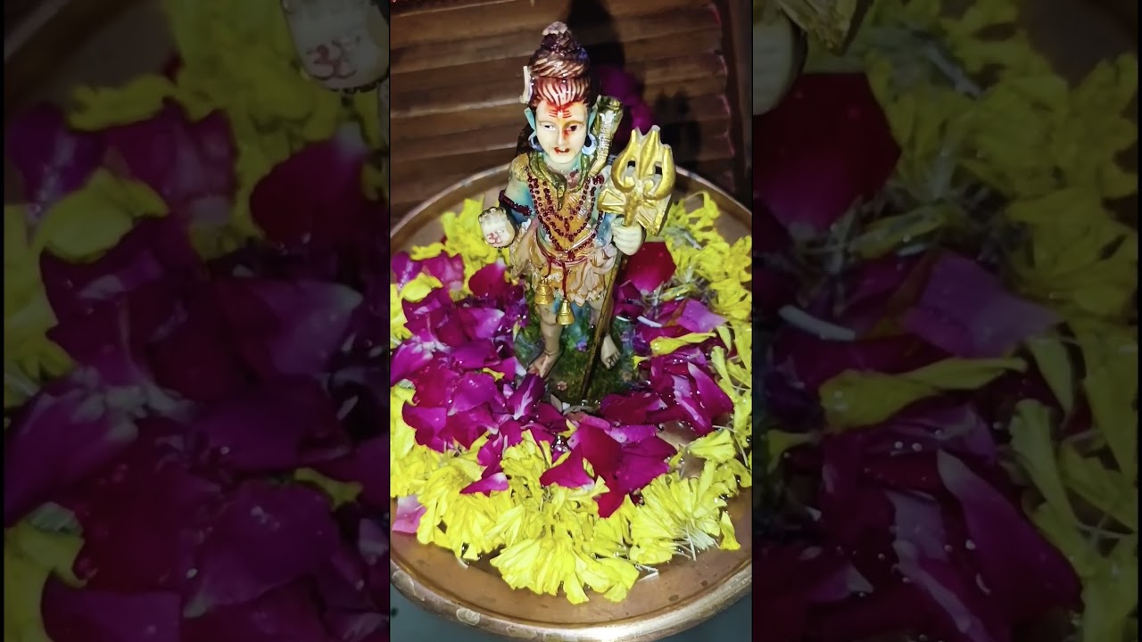 jo🙏🏻🙏🏻🙏🏻🙏🏻🙏🏻#chhal #pap#girana #dhan #like and subscribe #mahadev #mahadevstatus 🙏🏻🙏🏻🙏🏻