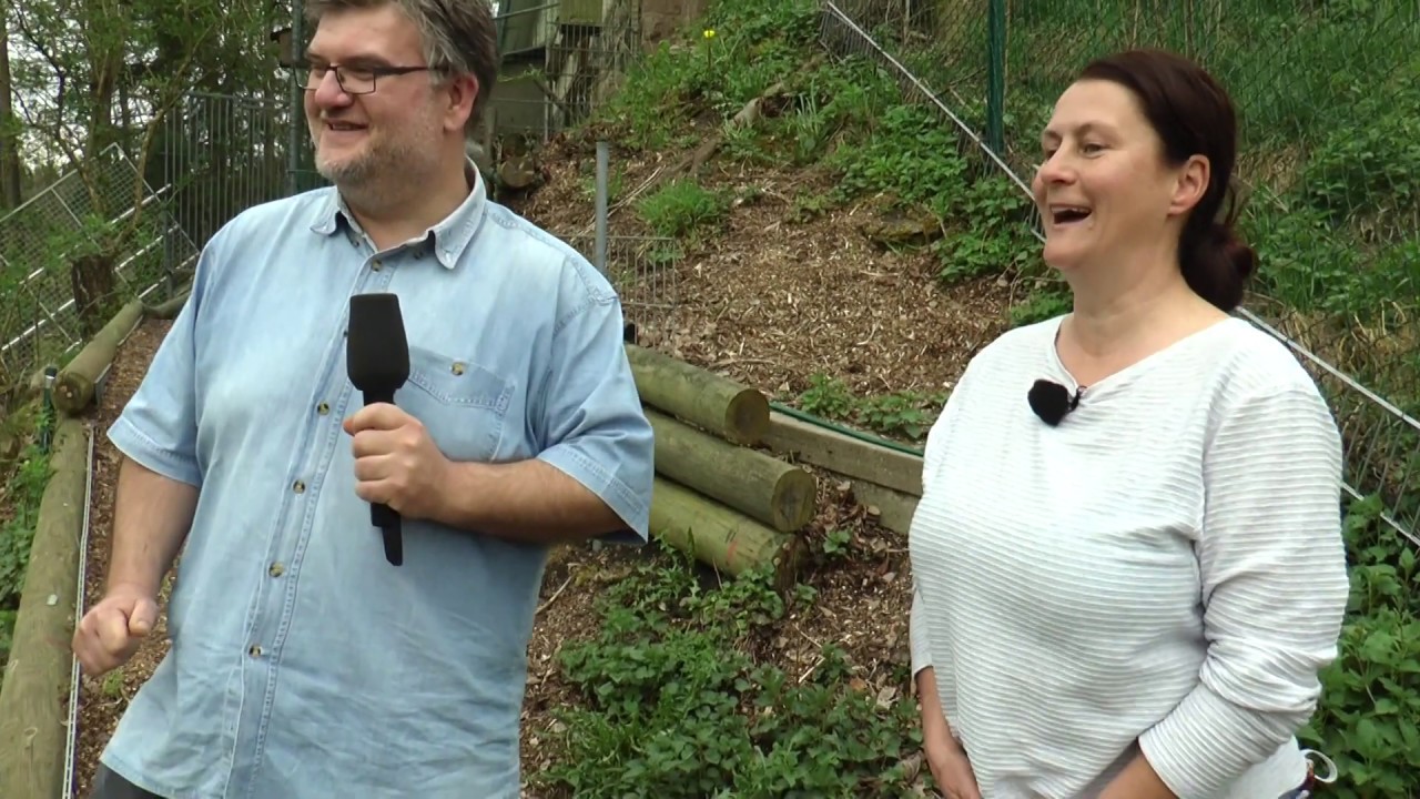 TiNo - Tiere in Not (Folge 10)