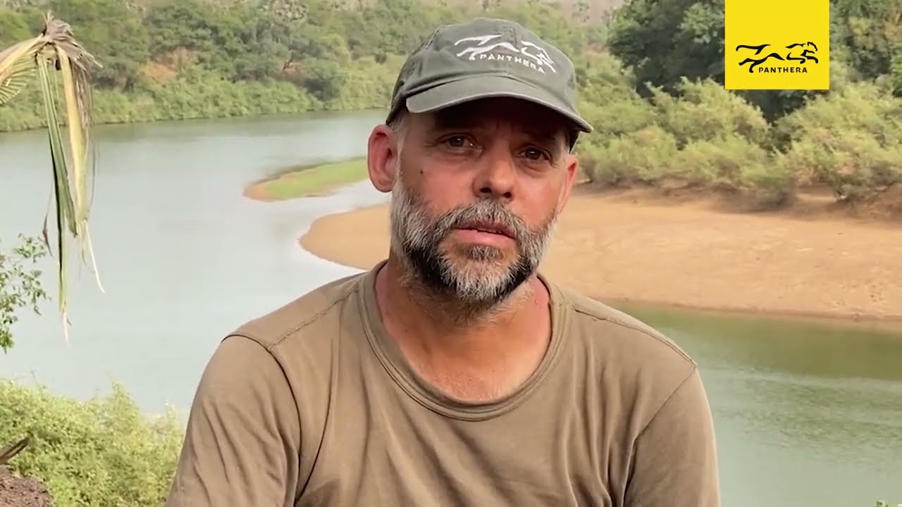 Protecting Lions in Senegal