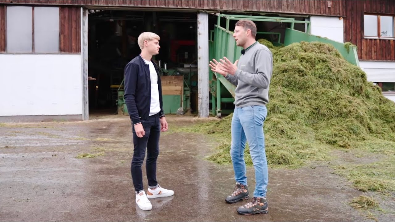 THIS IS HOW HEALTHY HORSE FEED IS MADE