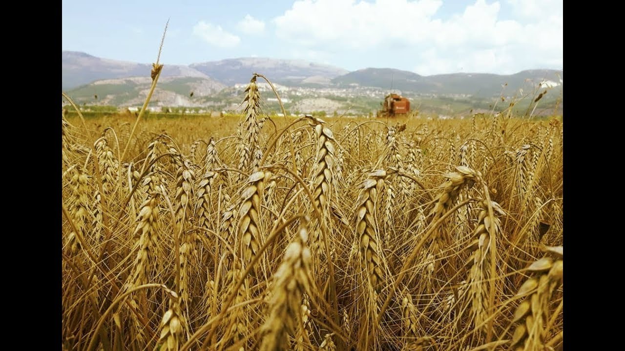 Benvenuti nel VALLO DI DIANO ♥