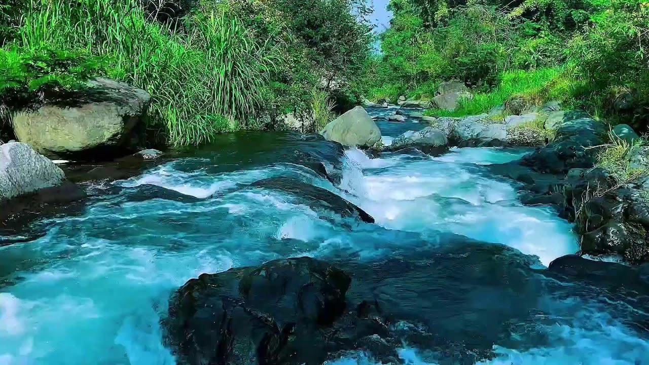 Forest River Water Flow Ambience, Mountain Stream, Sleep
