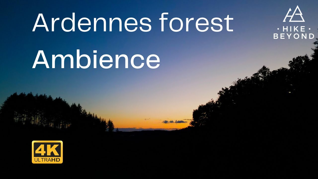 4k Ardennes forest & outdoor ambience in Belgium. Beautiful sceneries in the last days of summer!
