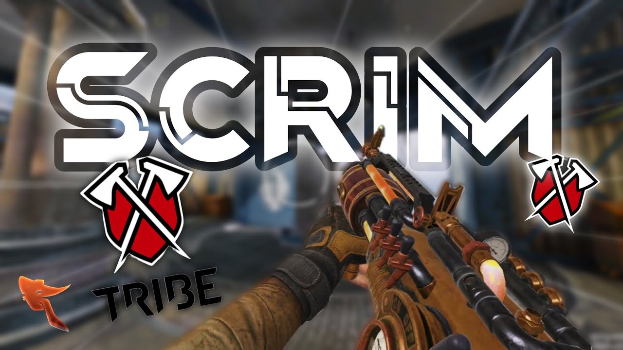 DESTROYING TRIBE GAMING in CODM... (PRO Scrims)