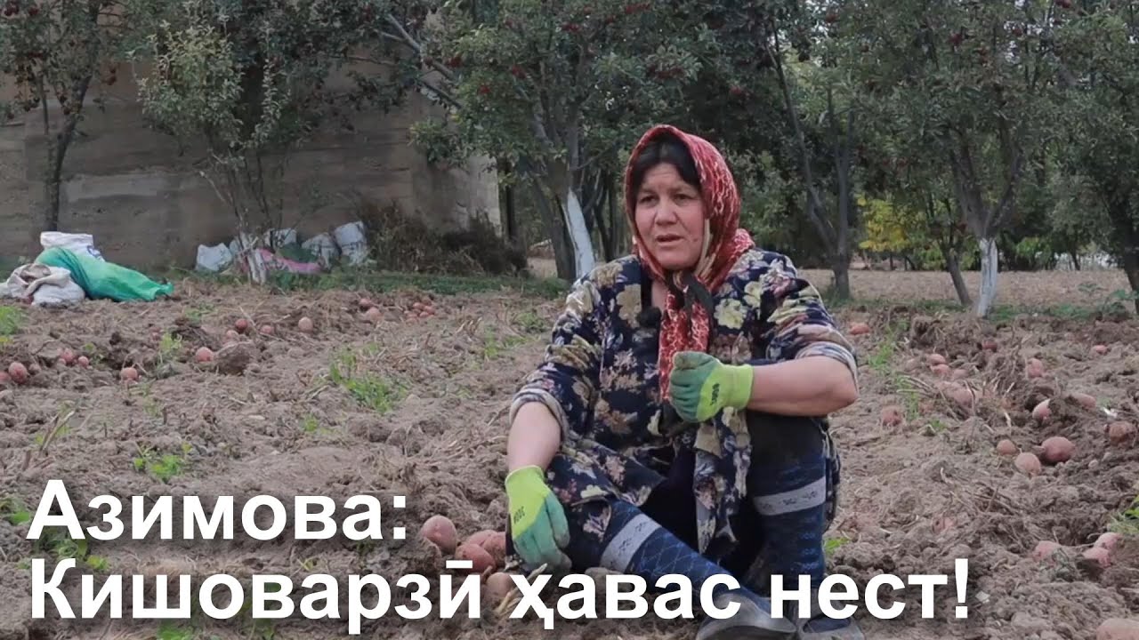 Азимова: Кишоварзӣ ҳавас нест! | Минбари зан