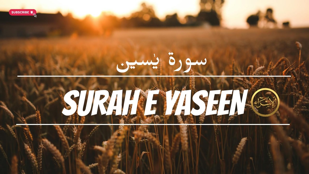 Surah Yaseen Beautiful Recitation | Listen Every Morning for Peace & Blessings #quran #qurantilawat