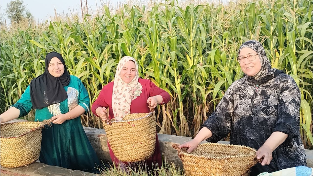 يوم ريفي وسط العليه ☝️الخير بيهل من السنة للسنه 