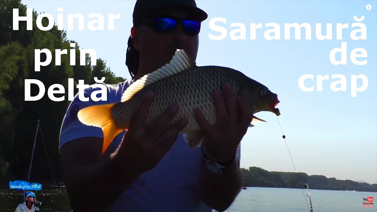 Hoinar prin Deltă. Saramură de crap