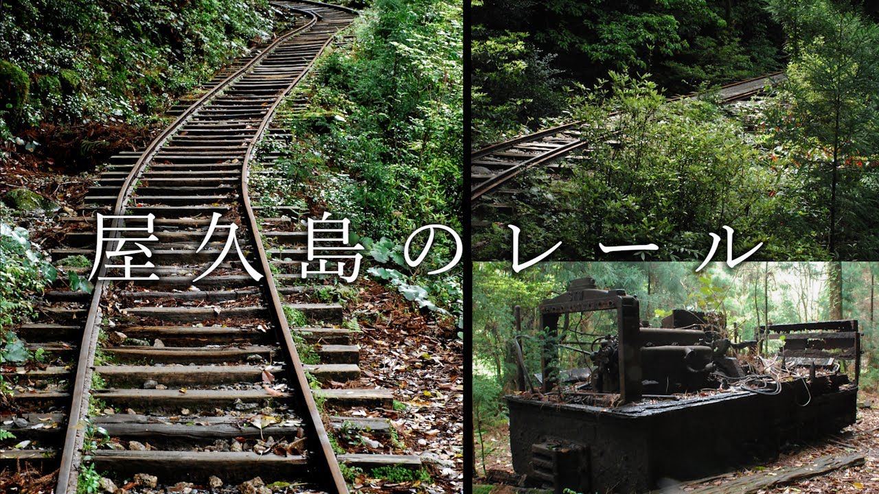 屋久島森林鉄道のレールの写真 (安房森林軌道 : 軌間762mm) / Photographs of the  railroad track in Yakushima.( 762mm gauge)