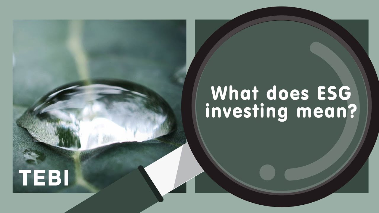 What does ESG investing mean?