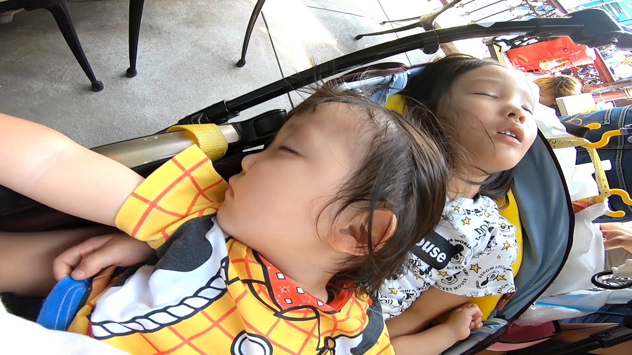 重なり合ってお昼寝するナナかな