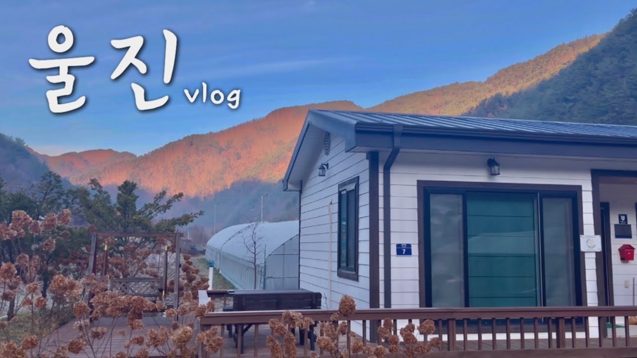 울진 브이로그 | 피톤치드 낭낭한 관광 코스 | 왕피천힐링팜