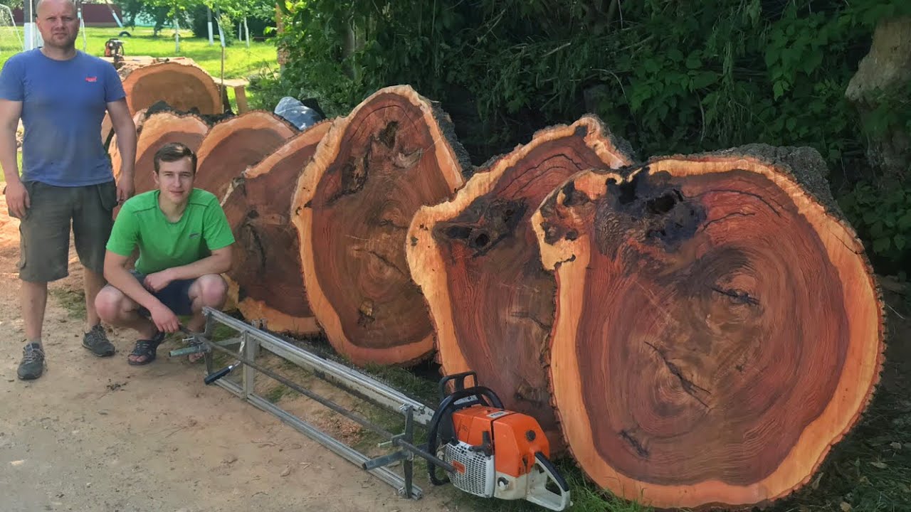 Бревна в пиломатериалы: 200-ЛЕТНЕЕ ДЕРЕВО. Фрезерование бензопилой.