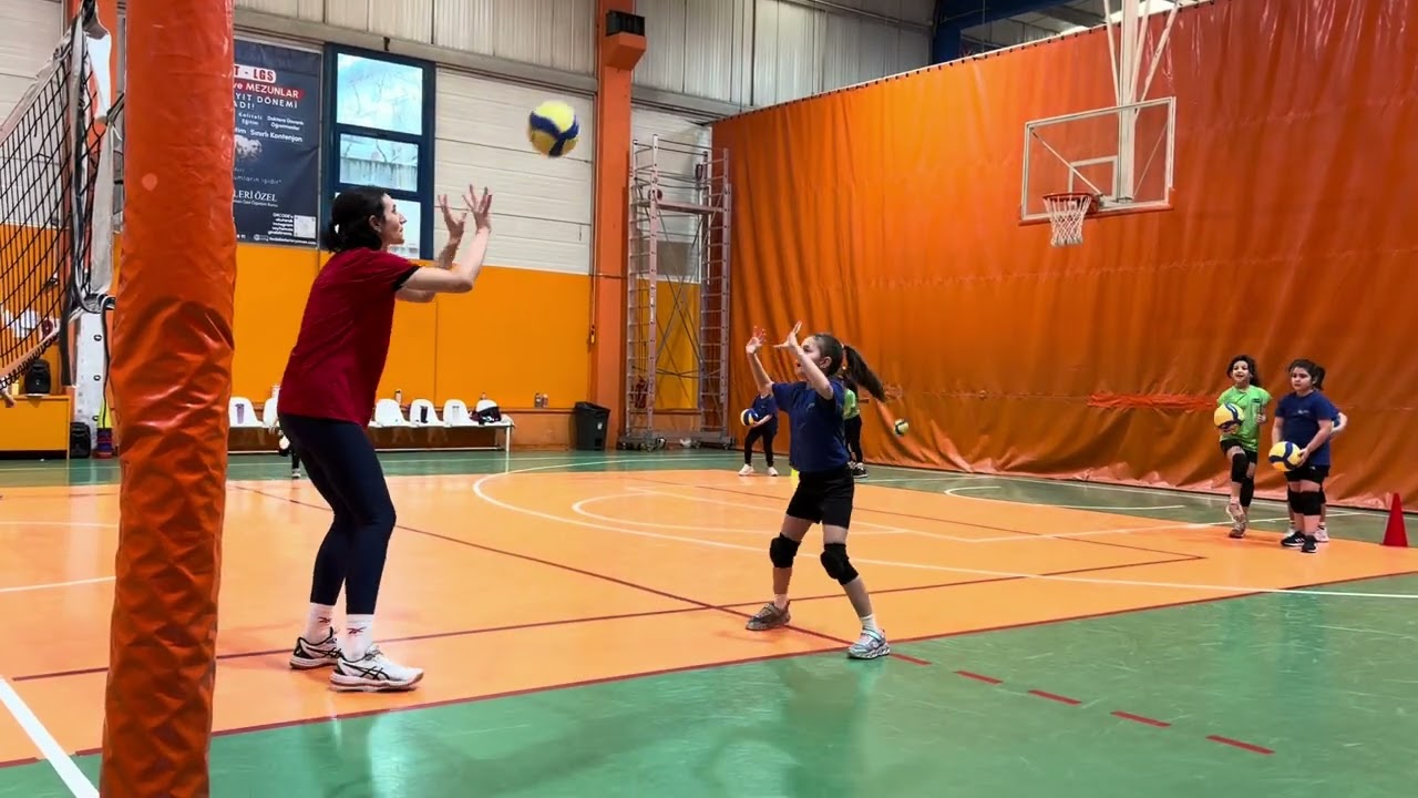 Tofaş Voleybol