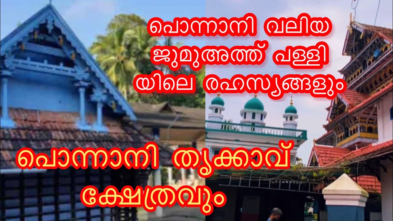 പൊന്നാനി വലിയ ജുമുഅത്ത് പള്ളിയും തൃക്കാവ് ക്ഷേത്രവും #ponnani #jamsheeralineerad