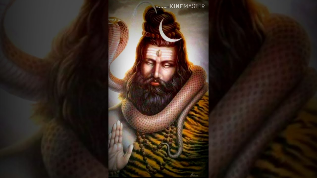 singi Dhol naiki lata gondi Song kuwara bhimal pen 🙏happy Mahashivratri 🙏