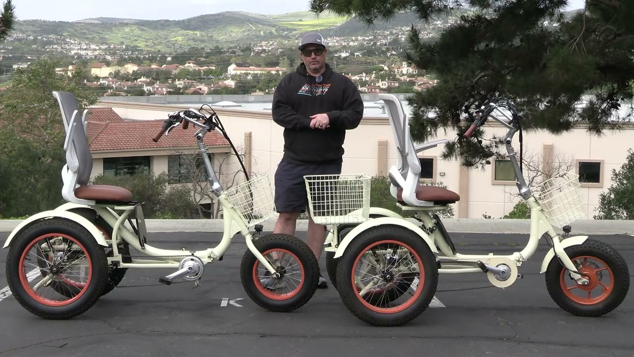 1500W vs 750W E-Trike — The Truth About Dual Motor Electric Trikes: Are They Worth It?