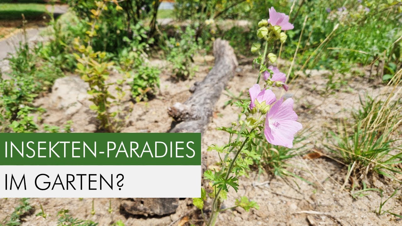 Naturschutz im Garten? So einfach geht das!