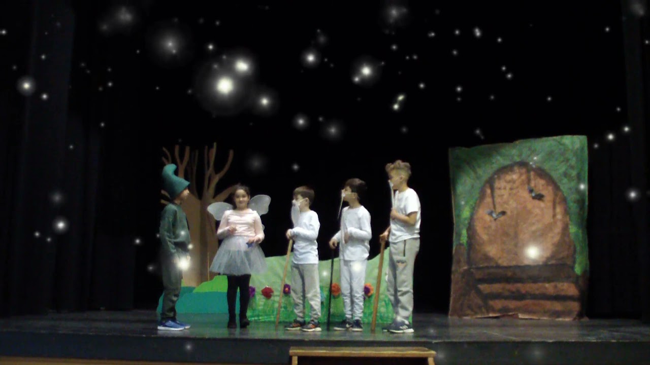 4tB   El bosc màgic - Curs 21-22