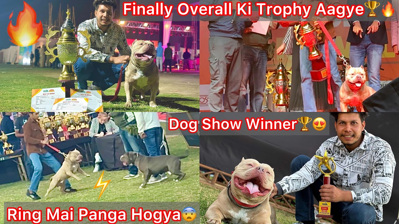Finally Dog Show Jeet Gye🔥Overall Trophy Winner 🏆Ring Mai Panga B Hogya Tha😰Bhero Ka🐶