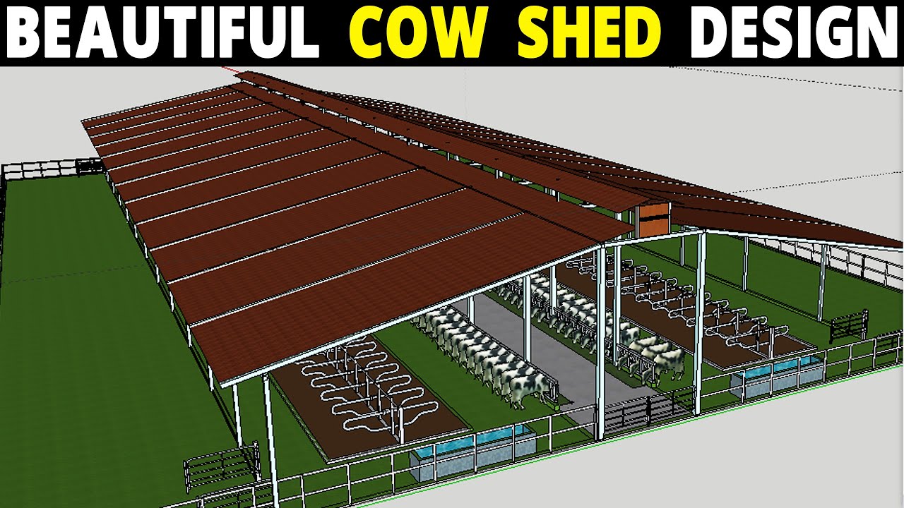 Cow Shed Plans and Design | Dairy Farm Design