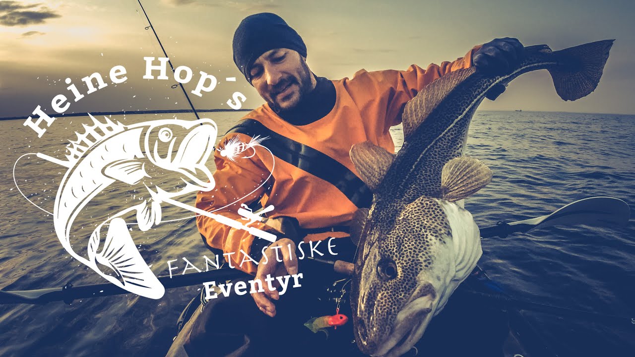 #6: Monstertorsk ved Nordhavn fra Kajak