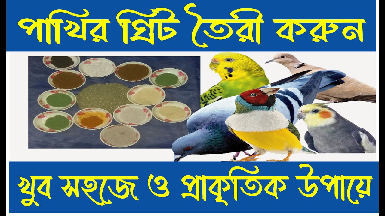 প্রাকৃতিক উপায়ে পাখির জন্য গ্রিট তৈরী করুন খুব সহজেই Grit#finch#কবুতর#Pigeon