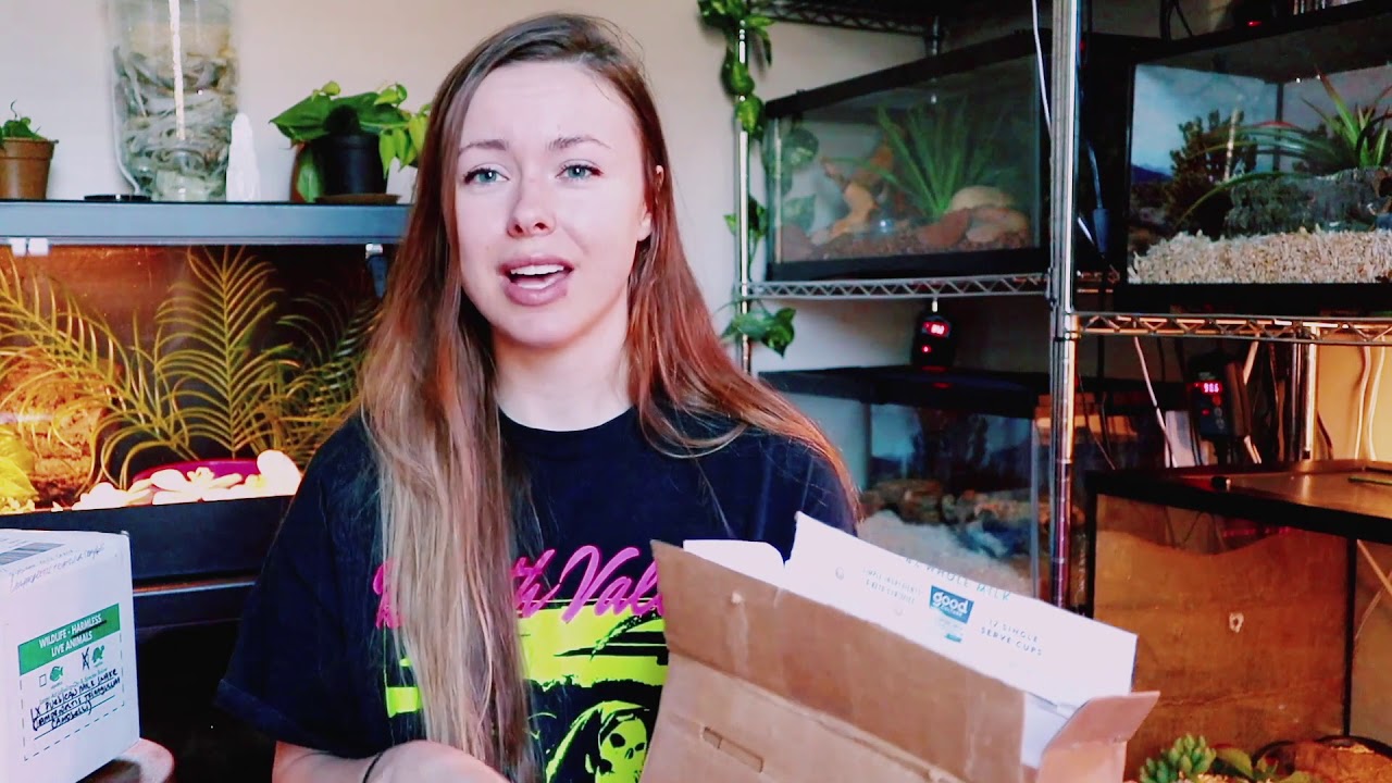 Reptile Unboxing FAIL