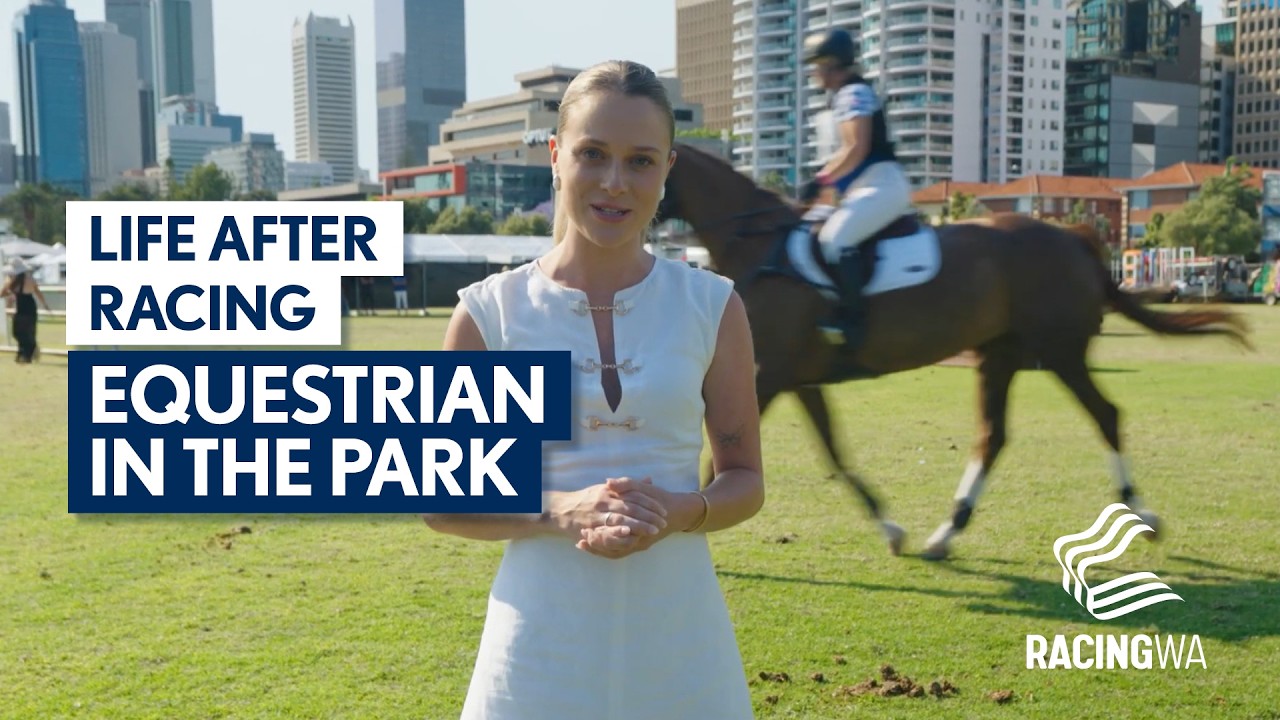 Life After Racing: Thoroughbreds Thriving at Equestrian in the Park