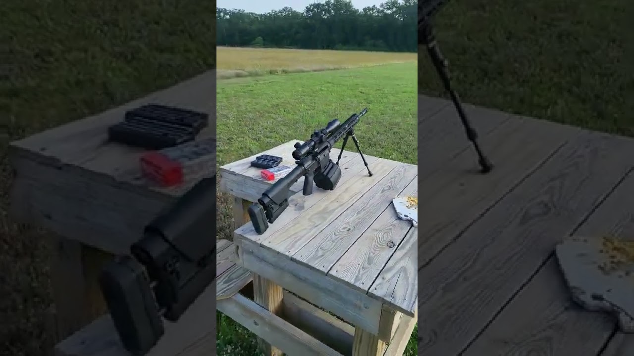 AR10 in .308