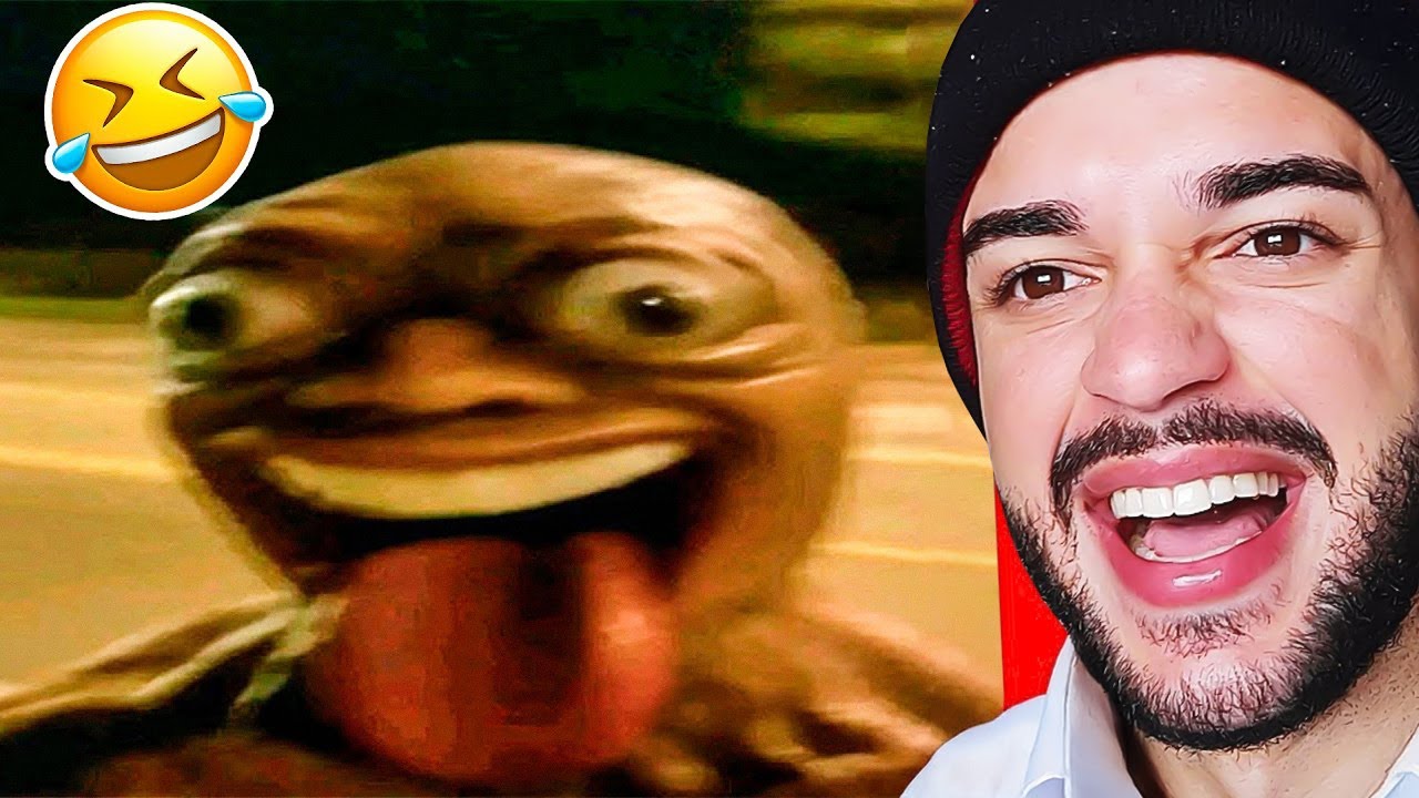 memes pra você assistir em 2026 (longe de todo mundo)