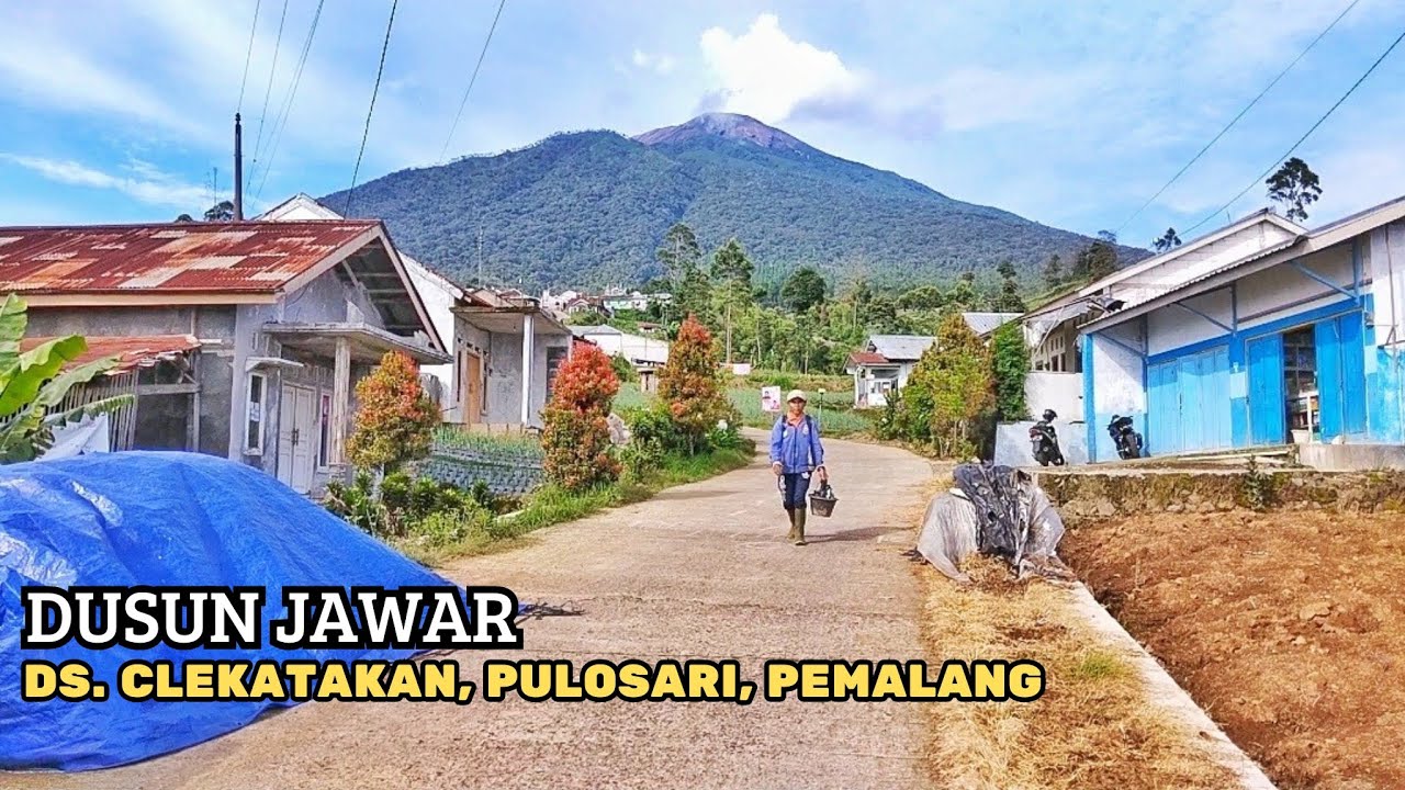 Desa tertinggi di pemalang, Surganya Sayuran | VEGETABLE PRODUCING VILLAGES IN INDONESIA