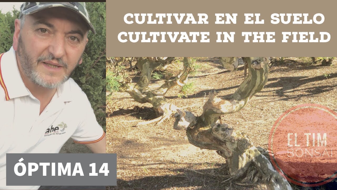 OPTIMA episodio 14. aprendiendo a cultivar en el suelo
