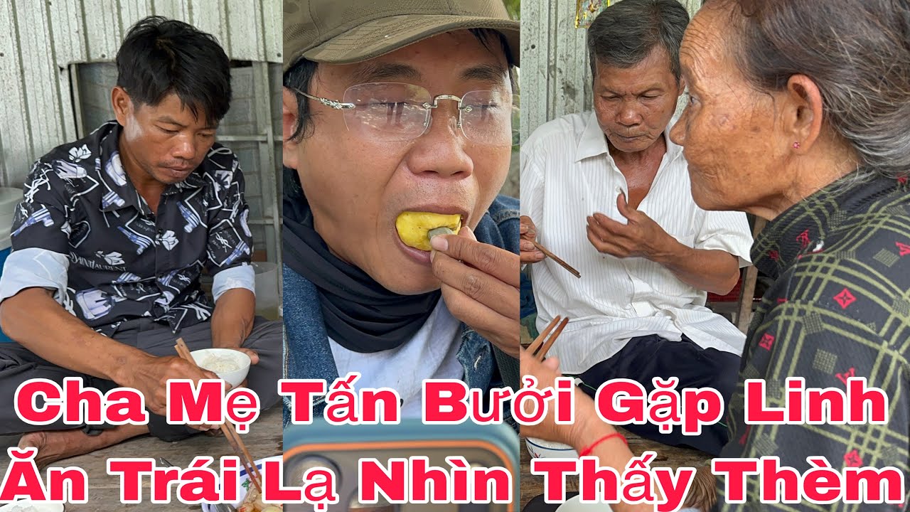 Cha Mẹ Tấn Bưởi Gặp Trái Này Cũng Phải Thèm #thinhhanh #yeucuocsong #giadinh #mientay 