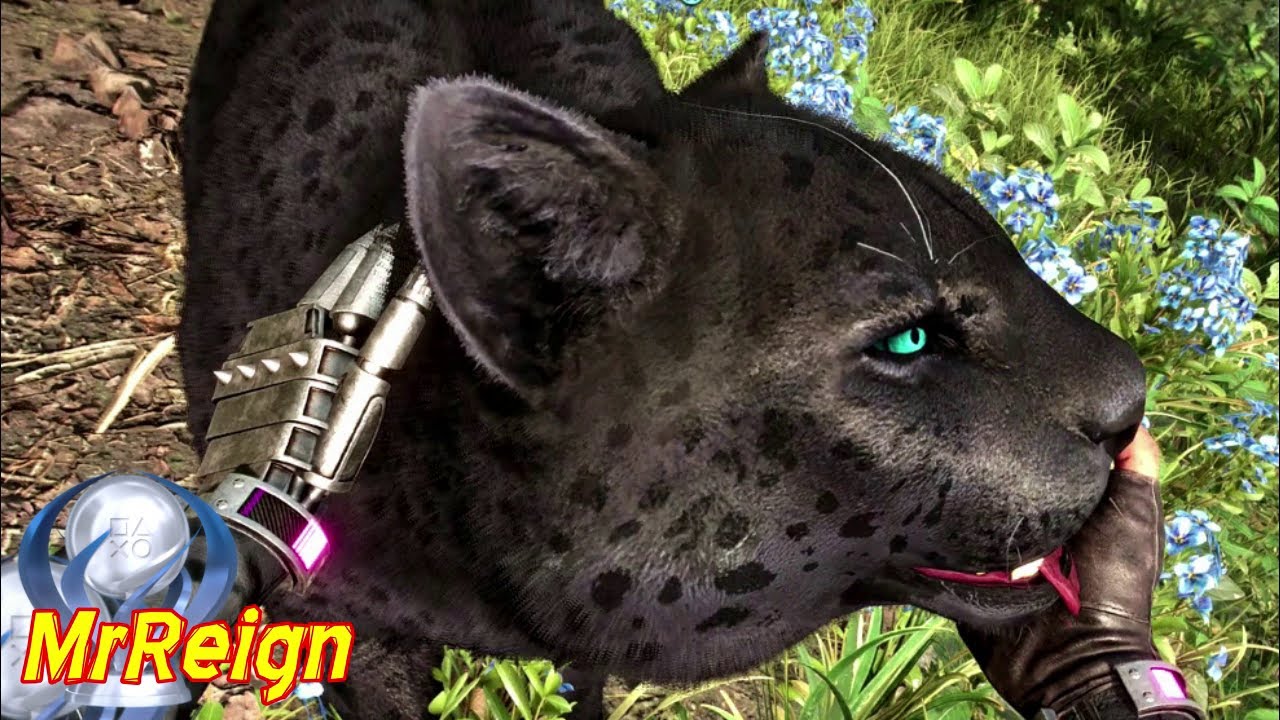 Far Cry 6 - How to Get OLUSO AMIGO & Upgrades - GHOST PANTHER Everything You Need to Know