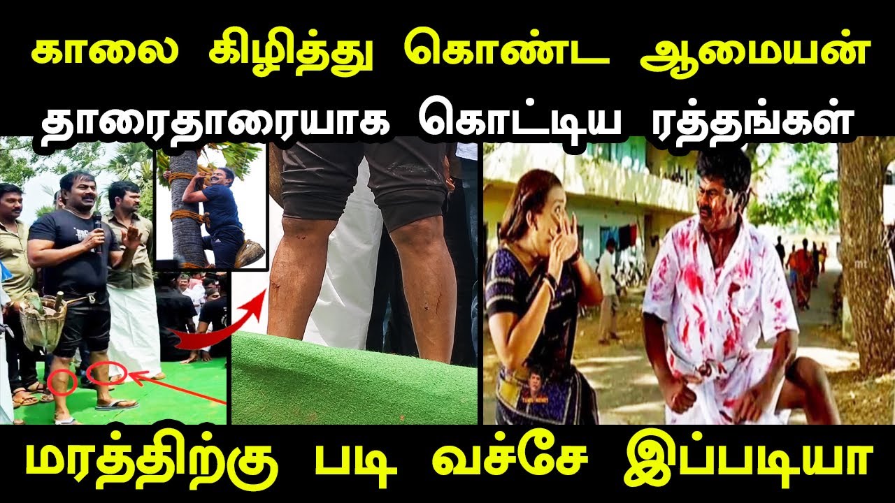 மரத்திற்கு படி வச்சேய் இப்படி | seeman panai maram troll | seeman troll today #seemantroll #kptroll