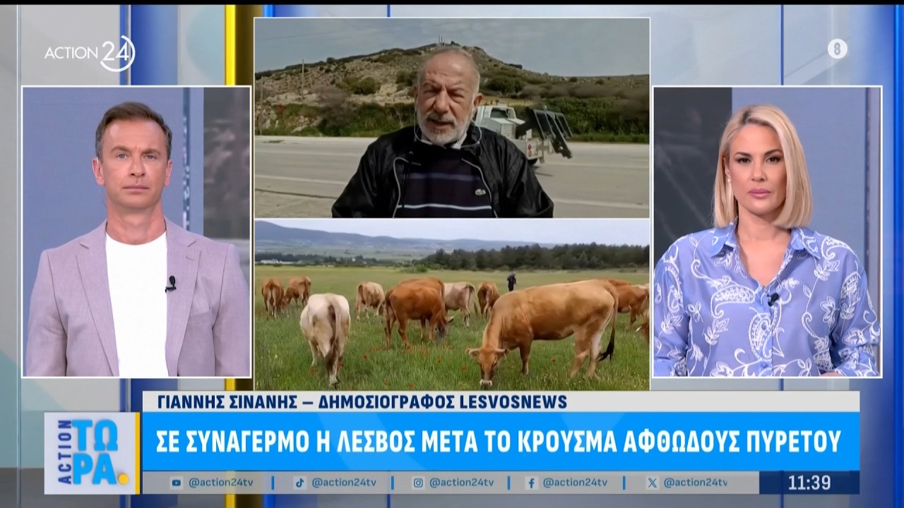 Σε συναγερμό η Λέσβος μετά το κρούσμα αφθώδους πυρετού |ACTION 24