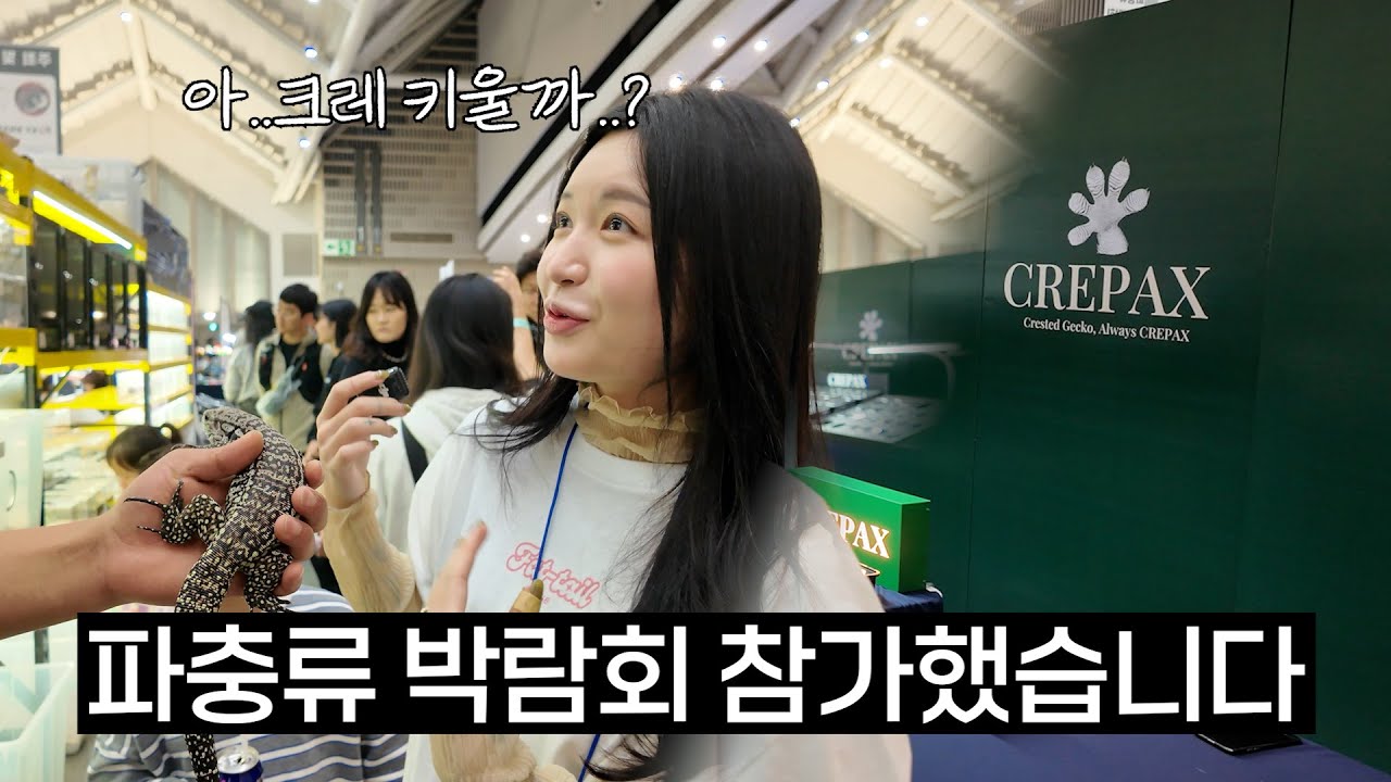 펫테일게코 홍보하러 나갔다가 생긴일..?