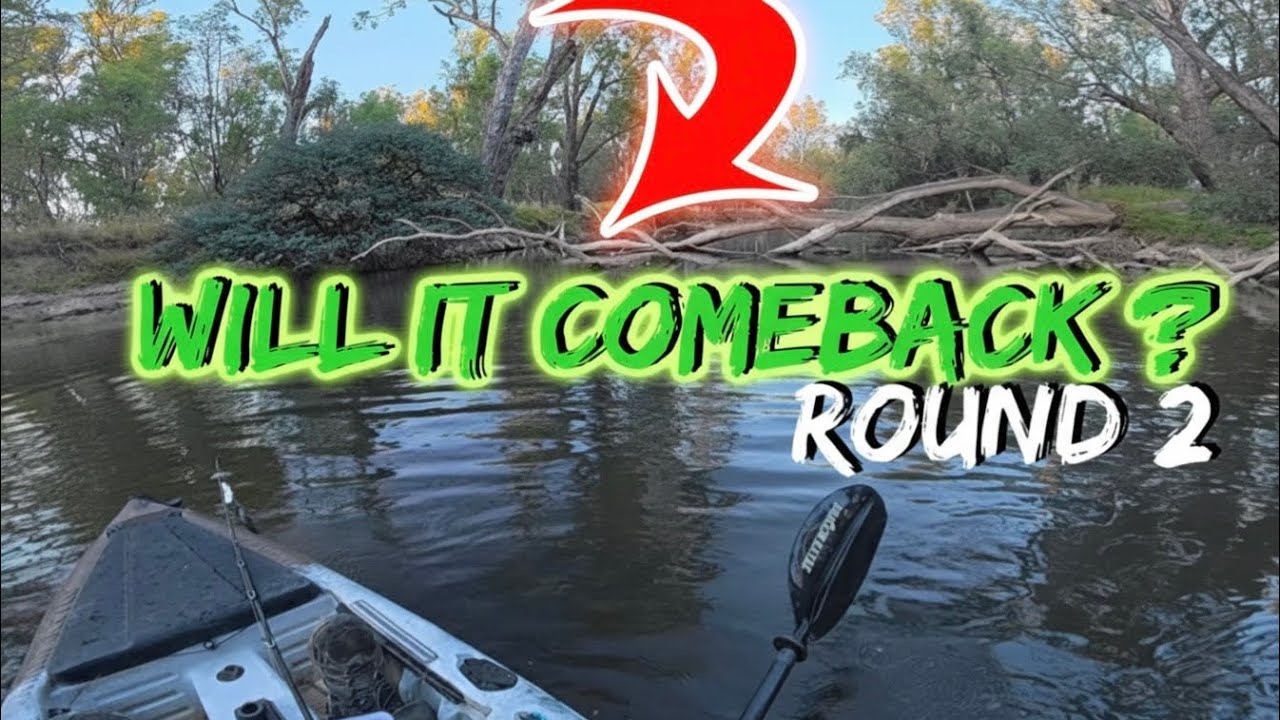 Back for HIM | The Murray Cod that Beat me