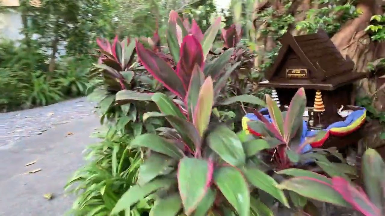 Sea Sand Sun Resort And Villas, Pattaya, Tajlandia