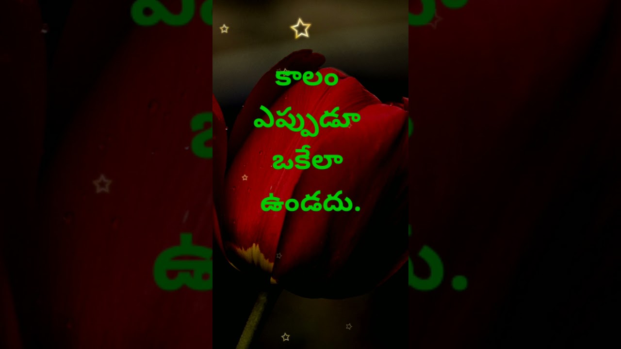 Manchi matalu #1506 | neethi vakyalu | telugu sukthulu | jeevitha satyalu | top matalu | quotations