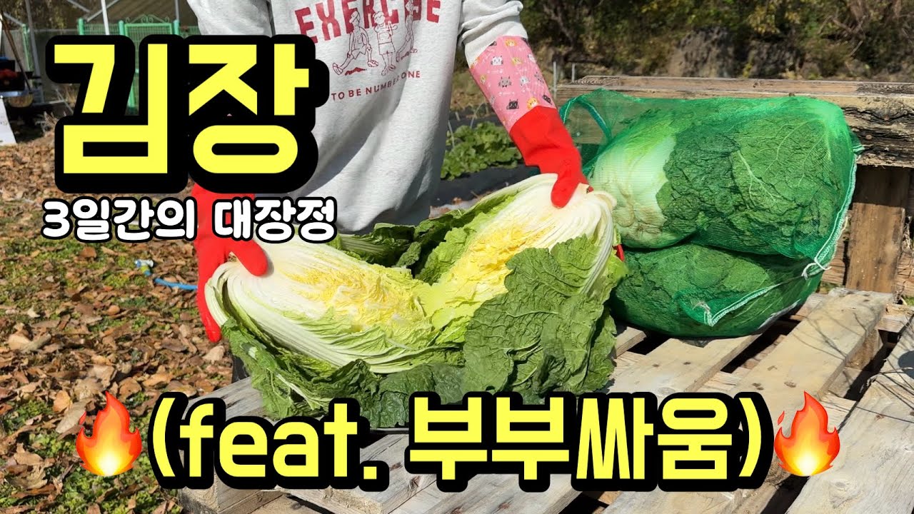 사먹는게 더 쌀 거 같은 김장 초보의 40kg 김장 기록 😭 (feat. 부부싸움은 덤)