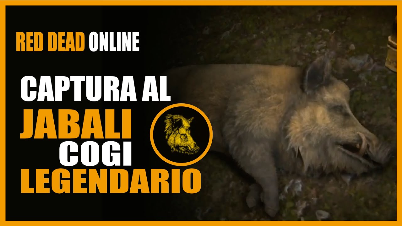 🔴 Donde cazar JABALI COGI LEGENDARIO ( ANIMAL LEGENDARIO ONLINE ) LOCALIZACIÓN EN RED DEAD ONLINE