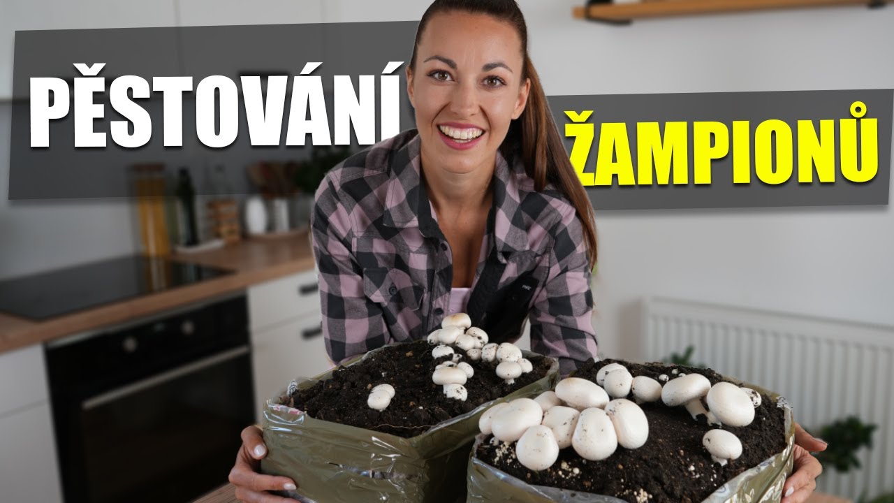 ŽAMPIONY PĚSTOVÁNÍ - KOMPLETNÍ NÁVOD