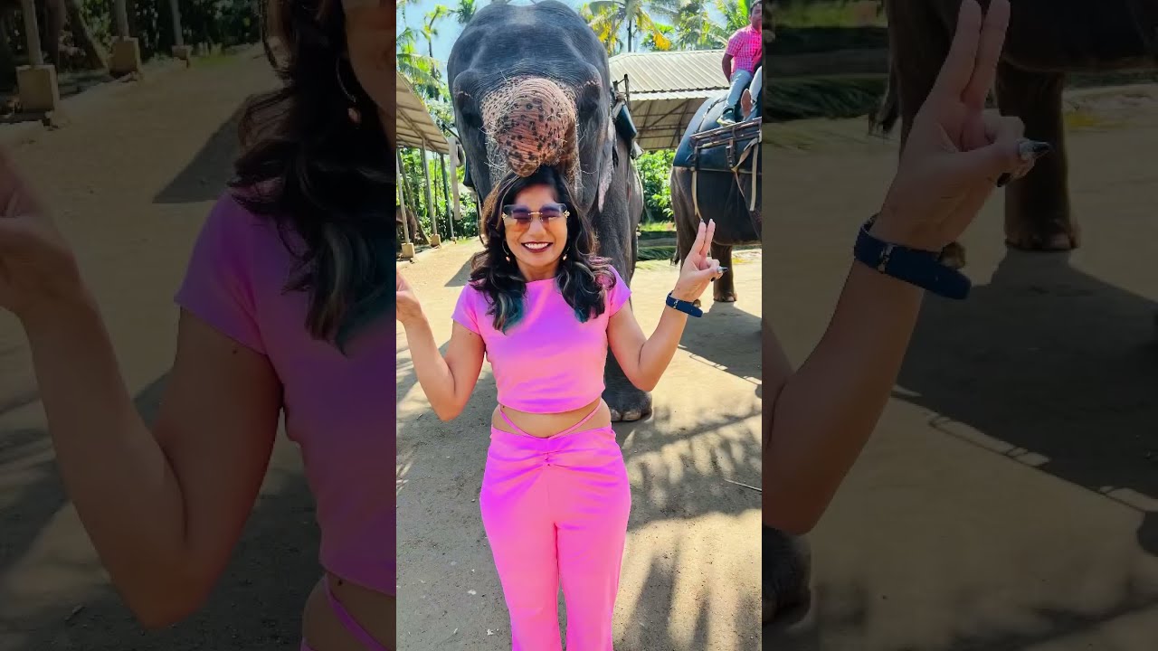 THEKKEDY Kerala trip #vlog #fun#travalvlog #enjoy #travilkingvlog #vlog