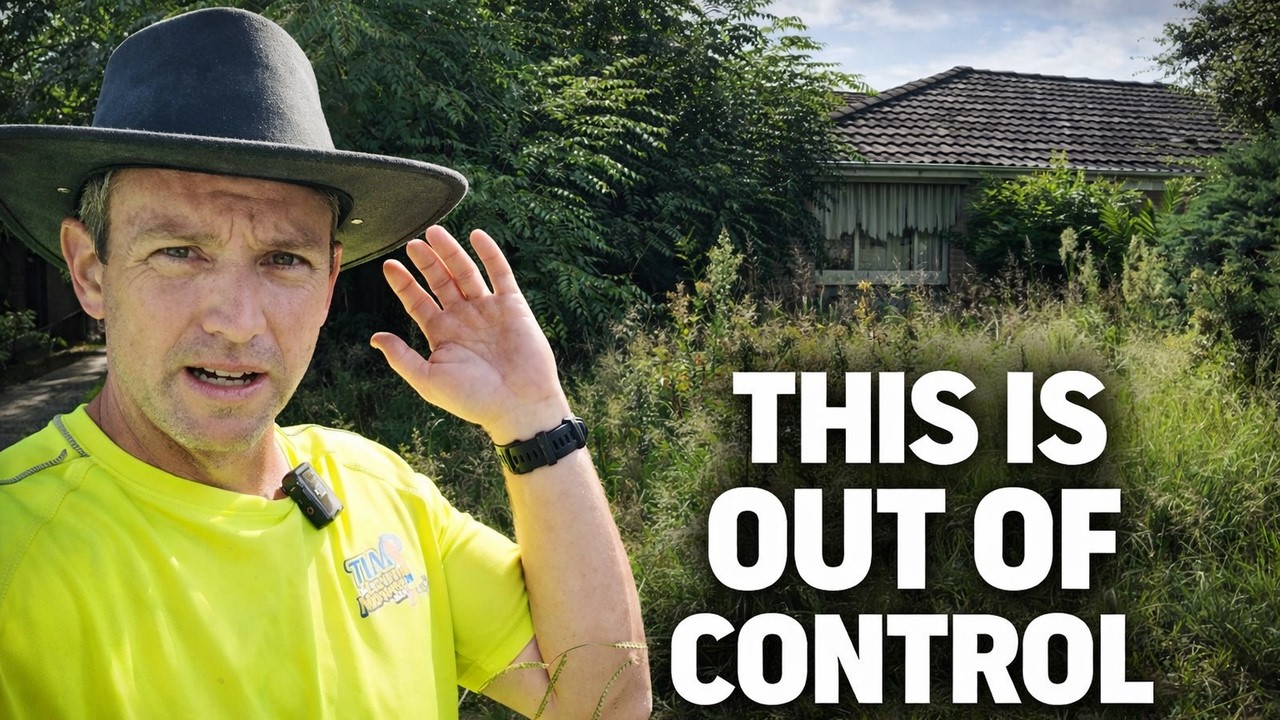 The House Disappeared Behind This Jungle!