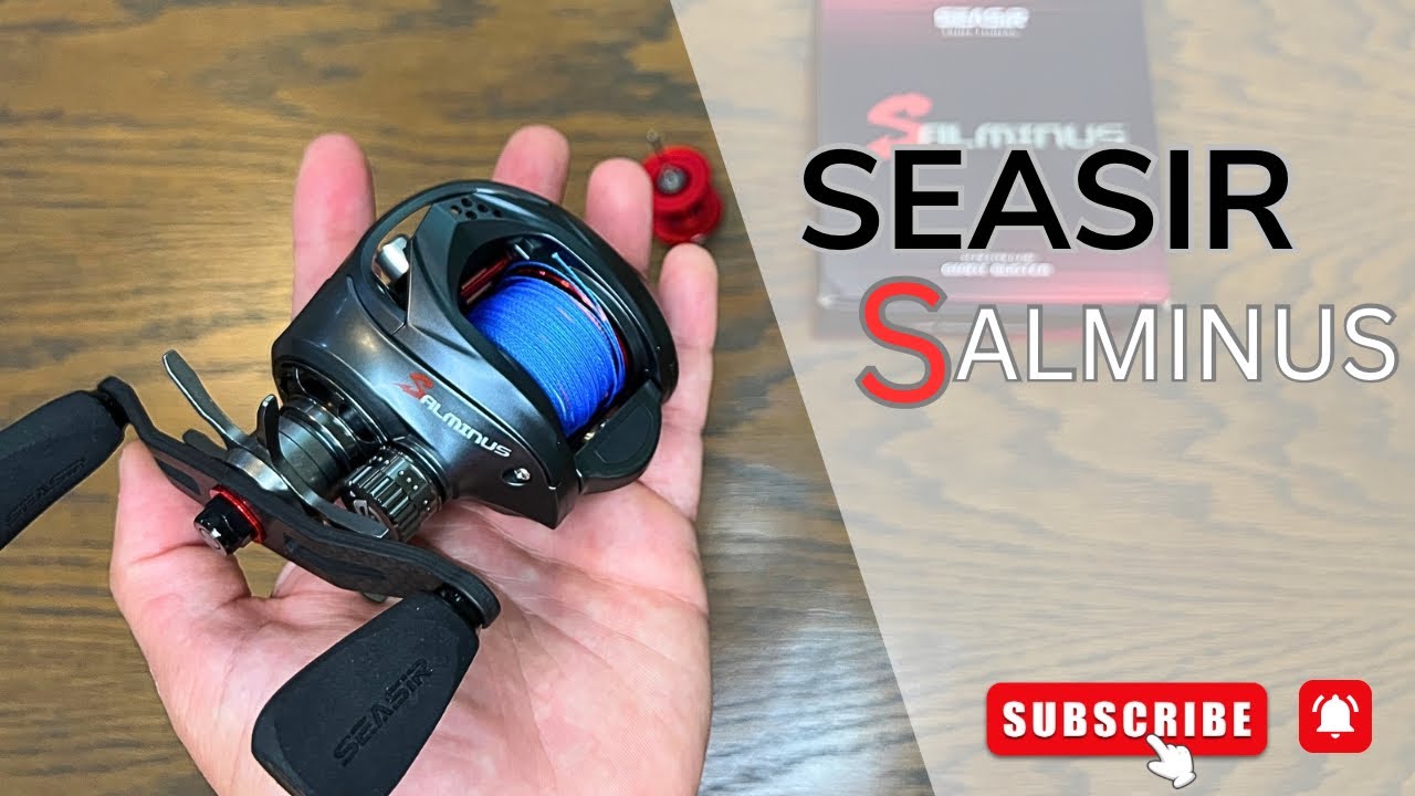 Best Budget Saltwater Baitcaster of 2025? | Seasir Salminus